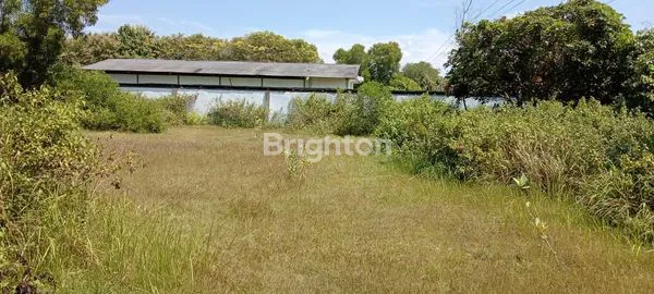 image TANAH 0 RAYA PAMEKASAN SUMENEP COCOK BUAT GUDANG ATAU USAHA (3)