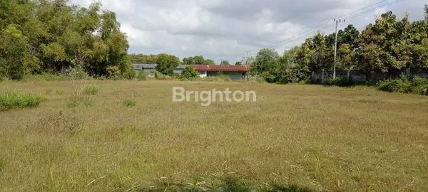 image TANAH 0 RAYA PAMEKASAN SUMENEP COCOK BUAT GUDANG ATAU USAHA (4)