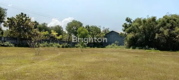 image TANAH 0 RAYA PAMEKASAN SUMENEP COCOK BUAT GUDANG ATAU USAHA (5)