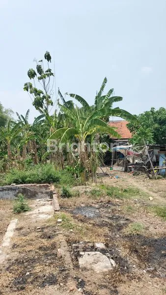 image TANAH DI BY PASS MOJOKERTO (8)