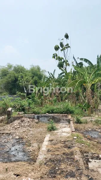 image TANAH DI BY PASS MOJOKERTO (4)