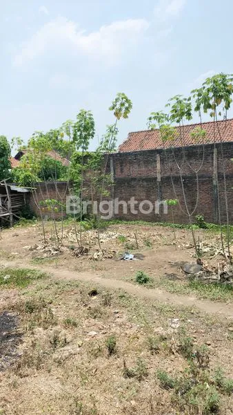 image TANAH DI BY PASS MOJOKERTO (6)