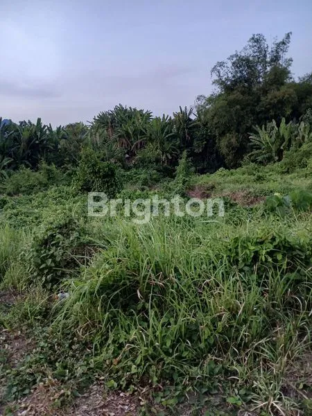 image JUAL TANAH NYITDAH (5)