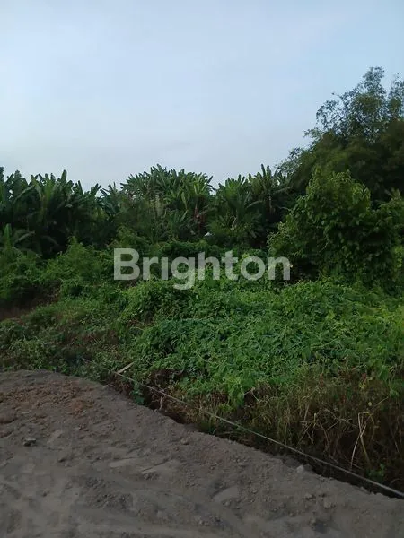 image JUAL TANAH NYITDAH (2)