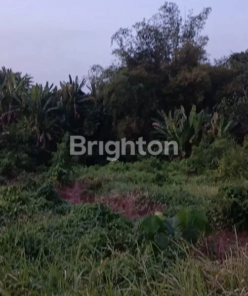 image SEWA TANAH NYITDAH TABANAN (2)