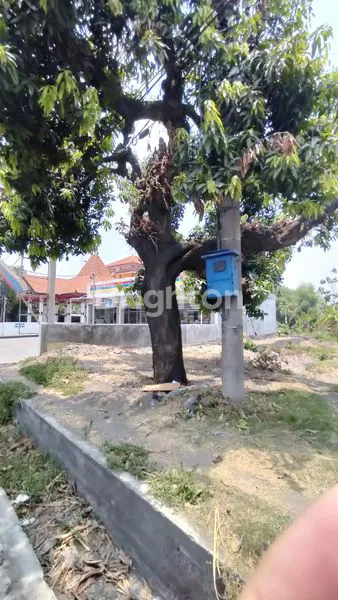 image TANAH DI BY PASS MOJOKERTO (1)