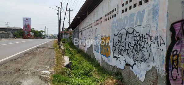 image GUDANG DI PANTURA TEGAL (2)