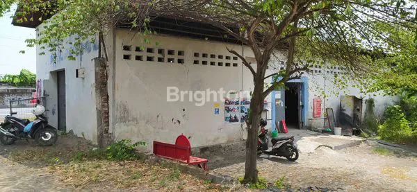 image GUDANG DI PANTURA TEGAL (4)