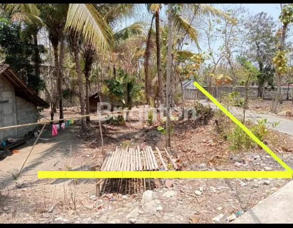 image MURAH BANGET... TANAH PEKARANGAN DI BANTUL CUMA 100 JUTA (3)