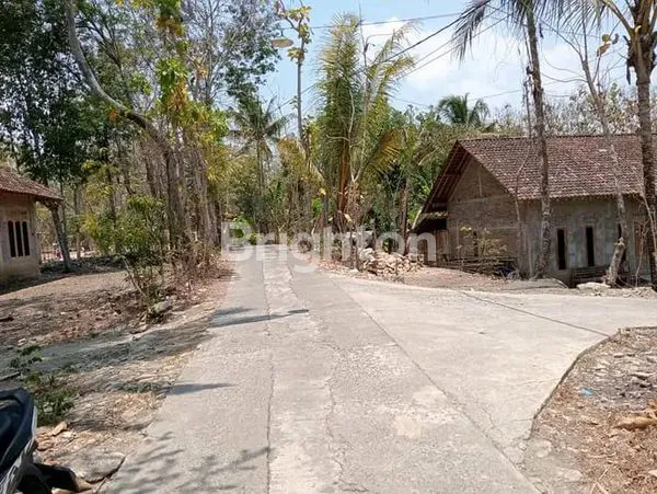 image MURAH BANGET... TANAH PEKARANGAN DI BANTUL CUMA 100 JUTA (6)