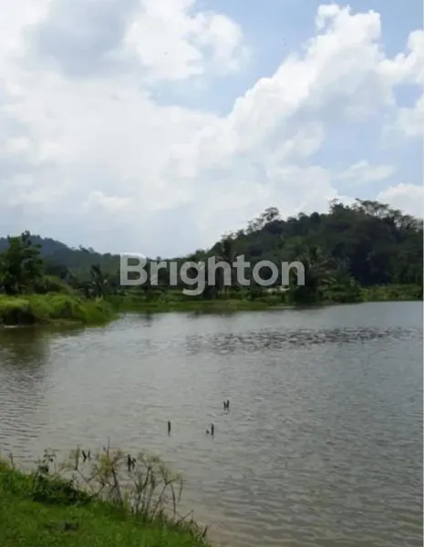 image TANAH KEBUN GAHARU DEKAT SITU PASIR MAUNG RAYA DAGO  (3)
