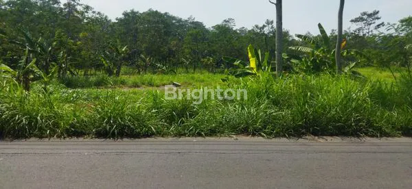 image KAWASAN INDUSTRI PATEMON SALATIGA (1)