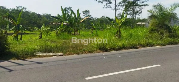 image KAWASAN INDUSTRI PATEMON SALATIGA (4)