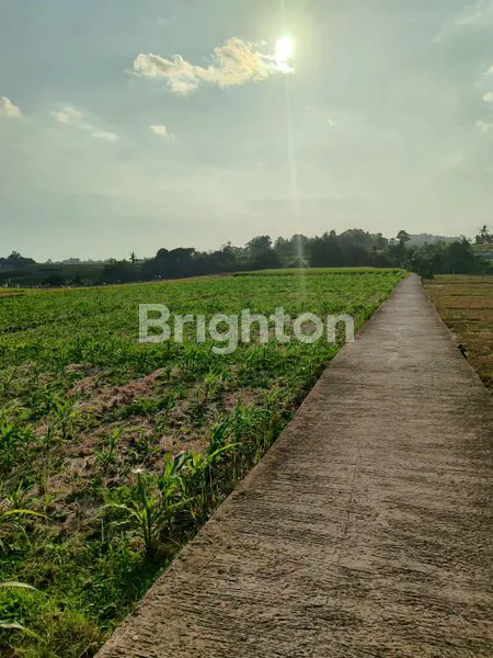 TANAH 28,6 ARE DI DEKAT PANTAI KELATING