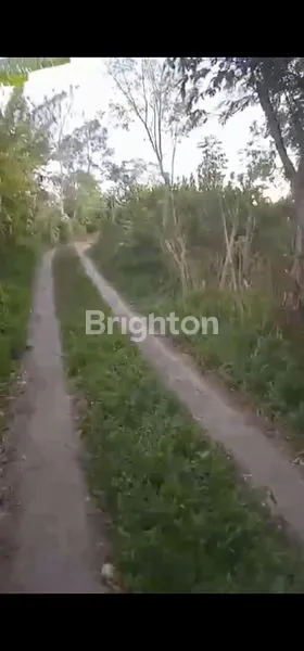 TANAH 1.30 HA ATAU 130ARE DI KUBU TAMBAHAN SINGARAJA