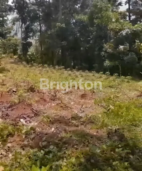 image DIBAWAH NJOP TANAH KEBUN DI DAERAH MIJEN SEMARANG (1)