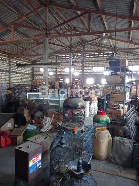 image GUDANG SPANDE SIDOARJO (3)