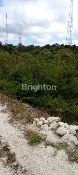 image TANAH MURAH 26 ARE DI KUTUH UNGASAN BALI (5)