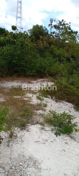 image TANAH MURAH 26 ARE DI KUTUH UNGASAN BALI (4)