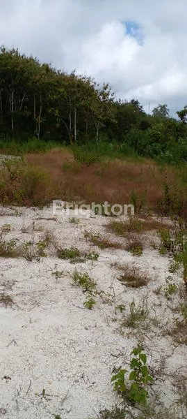 image TANAH MURAH 26 ARE DI KUTUH UNGASAN BALI (1)