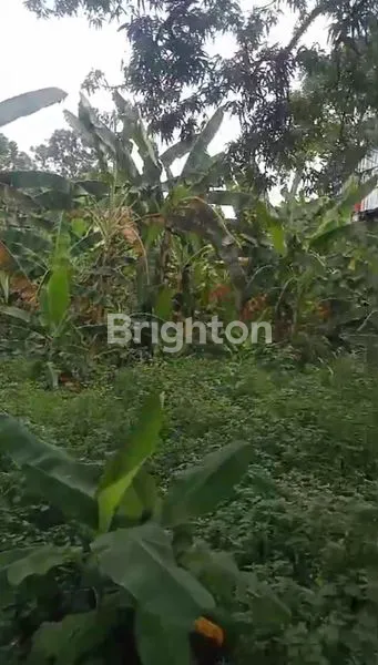 LAHAN DATAR PINGGIR JALAN CIGANJUR JAKARTA SELATAN