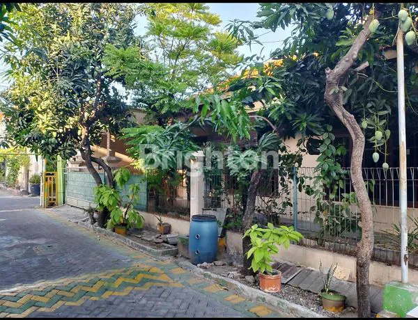 image RUMAH HOOK SANGAT LUAS TENGAH KOTA SIDOARJO (1)