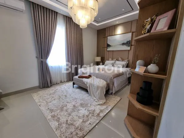 image HOT PROMO GREEN ORCHID TYPE ALAMANDA (5)