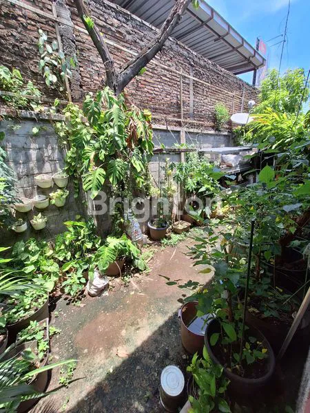 image JL. MAJAPAHIT (5)