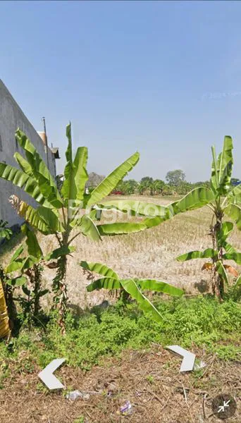 TANAH PEKARANGAN LUAS 2274M² PINGGIR JALAN BESAR DI WARINGIN REJO DEKAT KONIMEX