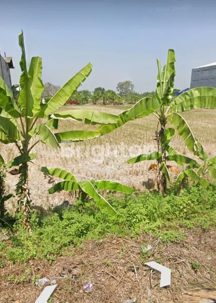 image TANAH PEKARANGAN LUAS 2274M² PINGGIR JALAN BESAR DI WARINGIN REJO DEKAT KONIMEX (2)