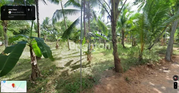 TANAH MURAH SUMENEP MADURA HANYA 100 RB PER METER