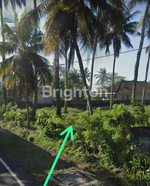TANAH PINGGIR JALAN RAYA DENPASAR GILIMANUK LOS PANTAI 2280 M2
