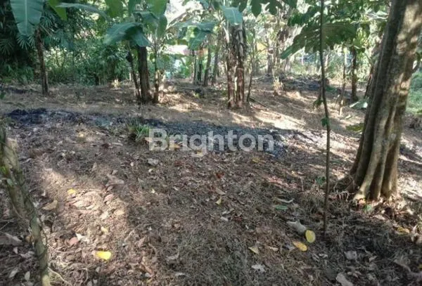 image DIJUAL TANAH DI CIBURIAL SUMEDANG (2)