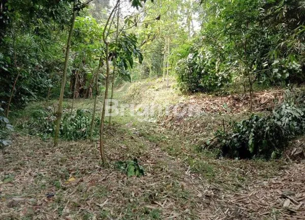 image DIJUAL TANAH DI CIBURIAL SUMEDANG (4)