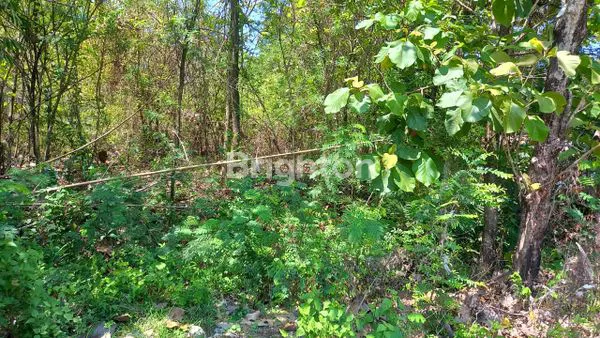 image DIJUAL TANAH PEKARANGAN PLESUNGAN KARANGANYAR  (2)