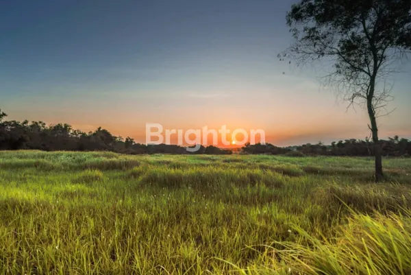 image TANAH TAMBAK OSO SIDOARJO (2)