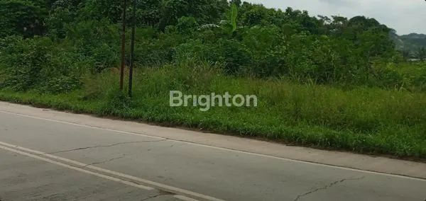 image LAHAN LUAS PINGGIR JALAN UTAMA HOOK (1)