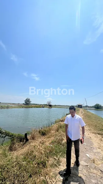 image TANAH TAMBAK OSO SIDOARJO (1)