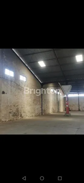 image GUDANG 2.392M DI JL MAJAPAHIT SEMARANG (3)