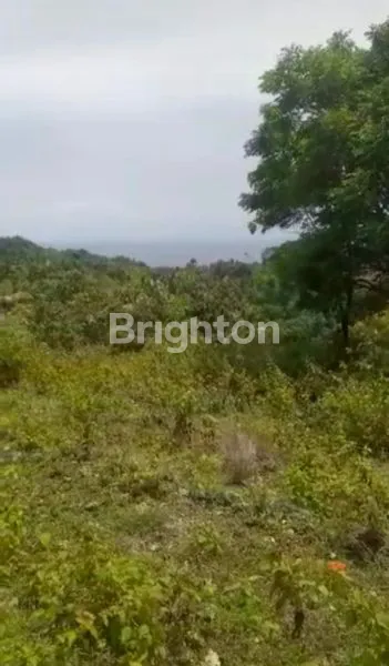 image FREEHOLD 85ARE LAND OCEAN VIEW ON THE HILL AT NUSA PENIDA (5)