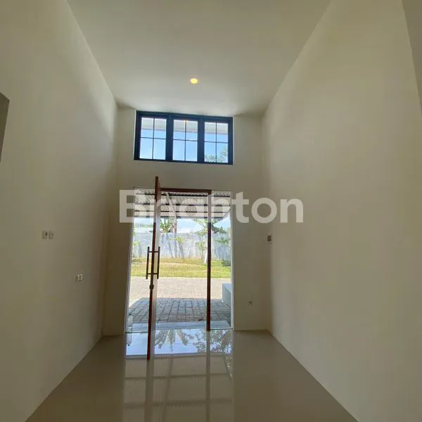 image TYPE TULIP DI SINGOSARI  (2)