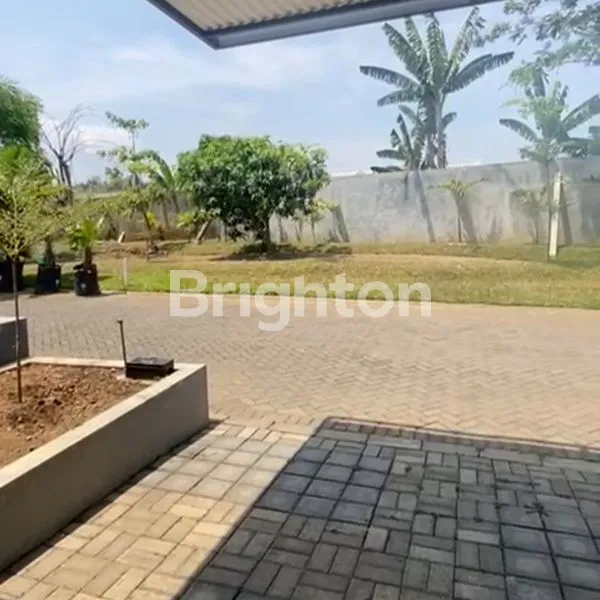 image TYPE TULIP DI SINGOSARI  (8)