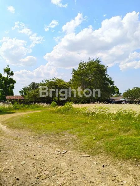 image TANAH DI BATU CEPER, TANGERANG, BISA BANGUN 10 GUDANG (1)