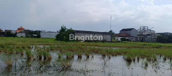 image TANAH LINGKAR TIMUR CANDI 8295 METER MURAH (5)