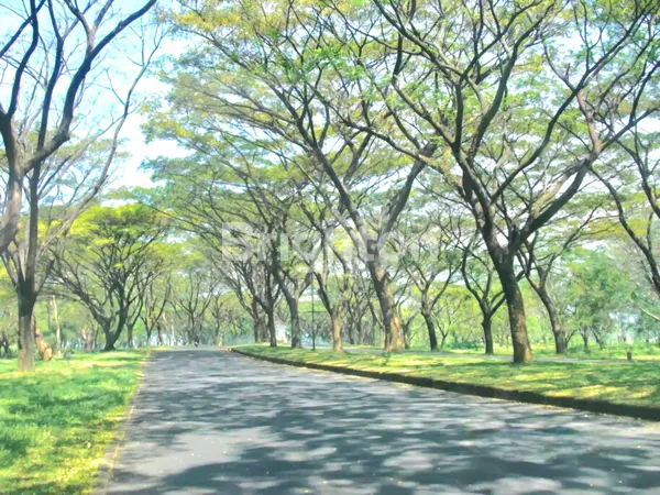 image VILLA BAGUS THE TAMAN DAYU RESIDENCE-PRIGEN (8)