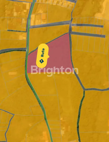 image TANAH INVESTASI 57,5 ARE DI KUTUH LOKASI STRATEGIS HARGA TERJANGKAU! (3)