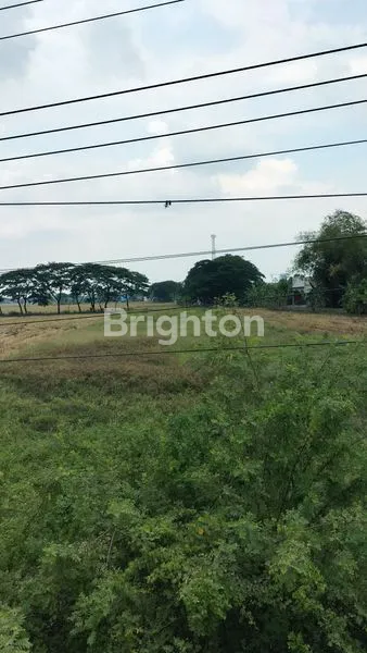 image TANAH DI NOL JALAN BYPASS MOJOKERTO (3)