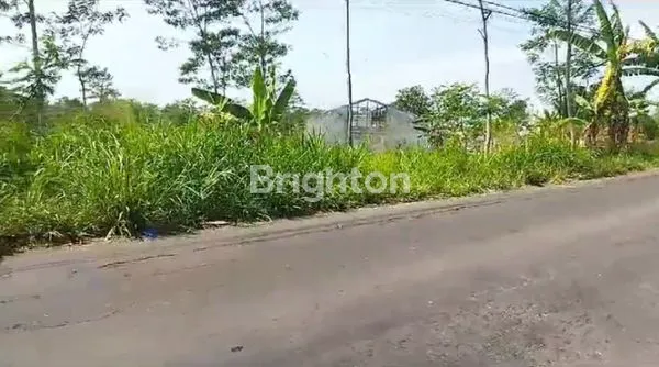 image TANAH ZONA MERAH SALATIGA, LT 7.874M² (2)