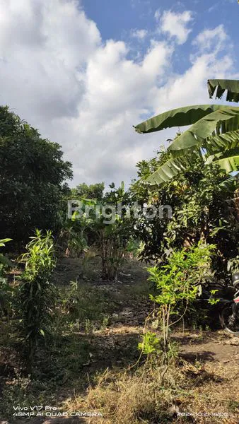DIKOTRAKKAN TANAH MUDING