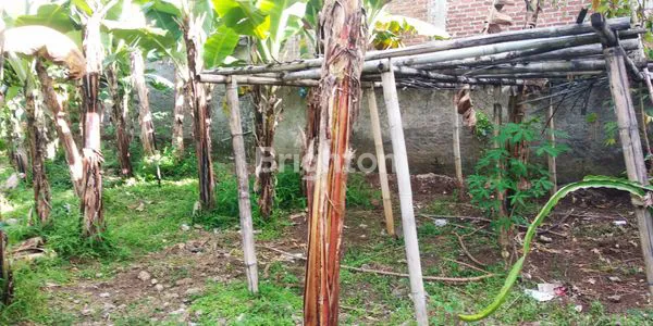 image TANAH TENGAH KOTA CIMAHI DEKET KANTOR CAMAT CIMAHI TENGAH  (8)